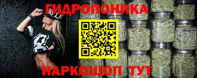 шишки Нарткала