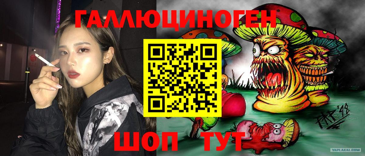 Белорецк  Галлюциногенные грибы прущие грибы  Вход с VPN 