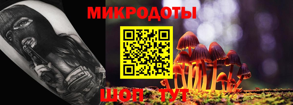 Галлюциногенные грибы Cubensis Белорецк